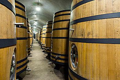 《Vlad Circus Descend Into Madness》预告 游戏暂不支持中文